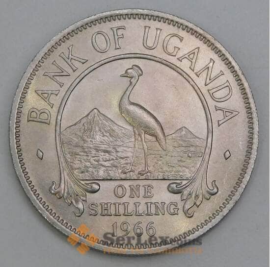Уганда 1 шиллинг 1966 КМ5 UNC арт. 56141 Уганда 1 шиллинг 1966 КМ5 UNC арт. 56141