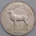 Монета Ирландия 1 фунт 1990 КМ27 XF арт. 40518