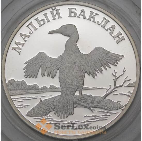 Россия 1 рубль 2003 Y816 Proof Малый Баклан арт. 23992