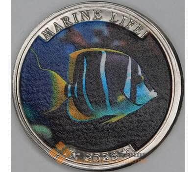 Индия остров Наркондам 25 рупий 2025 Рыбка голубой хирург (белогрудый) арт. 54976