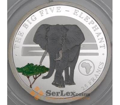 Бурунди монета 25 франков 2019 UC228 Proof Слон арт. 47281