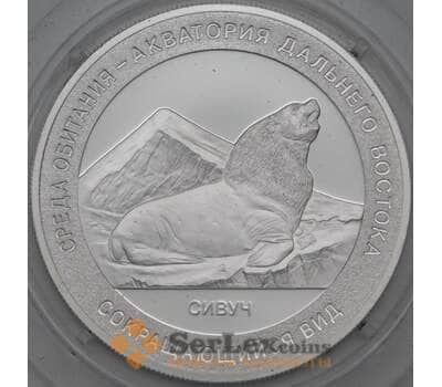 Медаль Красная книга России - Сивуч СПМД арт. 22599
