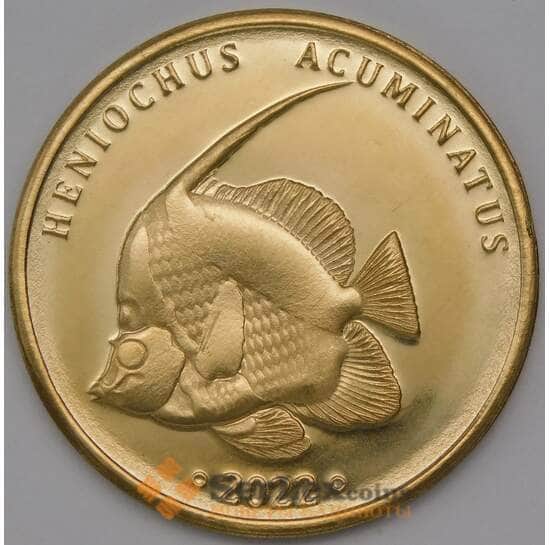 Малайзия Лабуан 5 ринггит 2022 Белопёрая Рыба Бабочка  арт. 31136