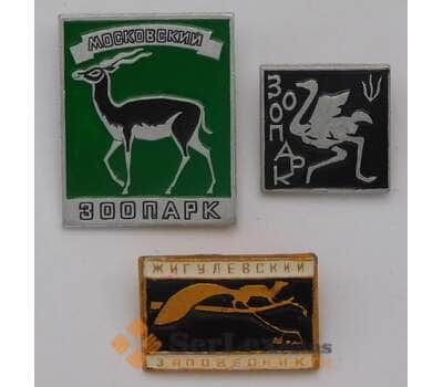 Набор значков 3 шт. Животные. Зоопарк, Заповедник арт. 37632