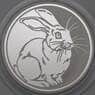 Россия 3 рубля 2011 Proof Год Кролика арт. 29956