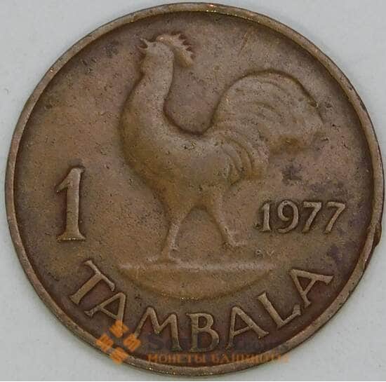 Малави 1 тамбала 1977 КМ7 VF арт. 55181