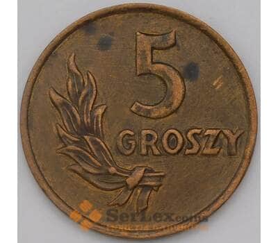 Монета Польша 5 грошей 1949 Y41 арт. 36886