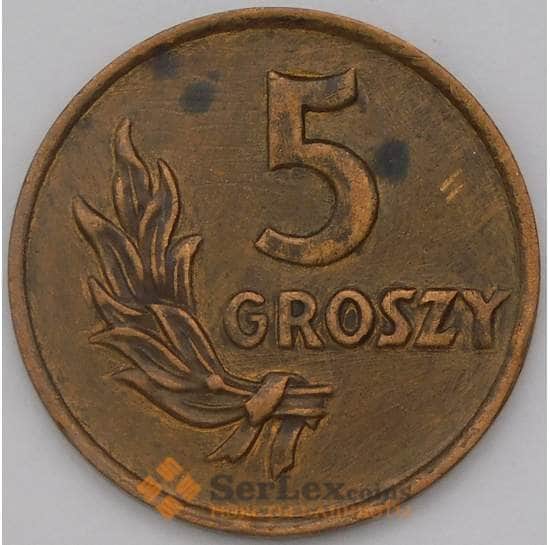 Польша 5 грошей 1949 Y41 арт. 36886