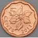 Монета Свазиленд 5 центов 2011 КМ56 UNC арт. 22166