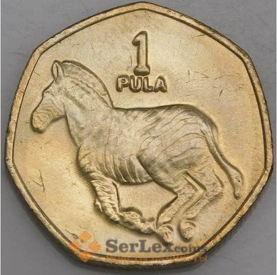 Ботсвана монета 1 пула 2007 КМ24 aUNC арт. 45251