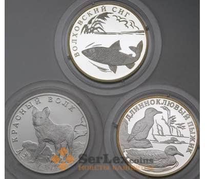 Монета Россия 1 рубль (3 шт) 2005 Proof Красная книга - Волк Пыжик Сиг арт. 29656