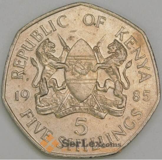 Кения 5 шиллингов 1985 КМ23 XF арт. 56378