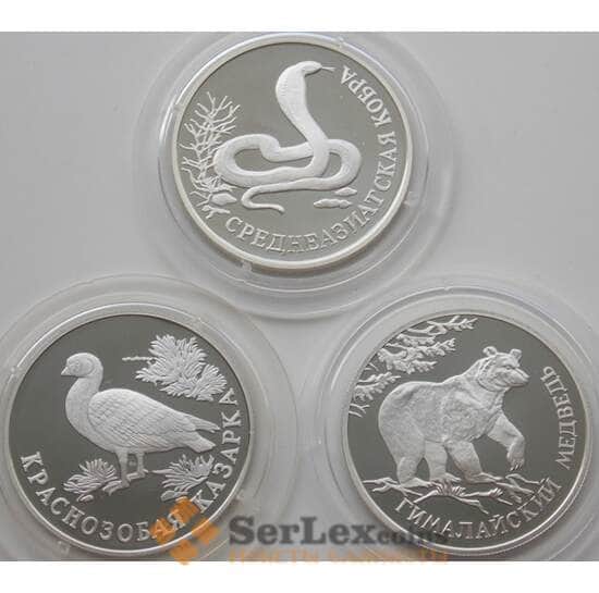 Россия 1 рубль (3 шт) 1994 Proof Красная книга - Медведь, Кобра, Казарка (АЮД) арт. 10003