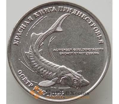 Монета Приднестровье 1 рубль 2018 UNC Русский осетр арт. 12650