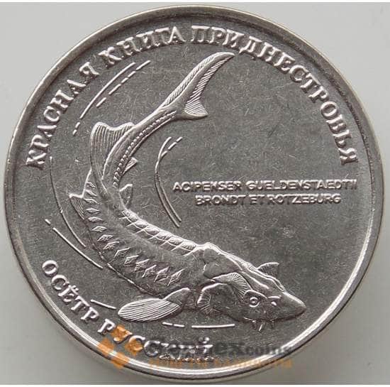 Приднестровье монета  1 рубль 2018 UNC Русский осетр арт. 12650