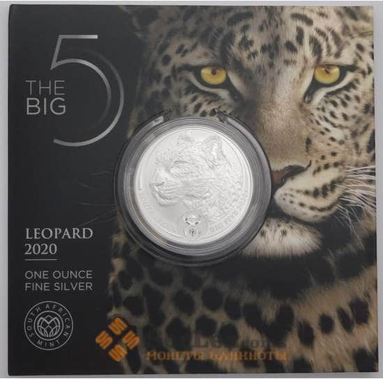 ЮАР монета 5 рэндов 2020 BU Большая пятерка - Леопард арт. 42368