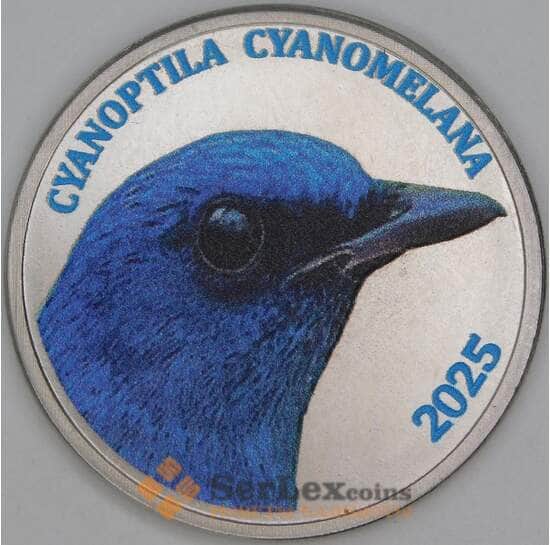 Новый Провиденс 3 доллара 2025 Синяя мухоловка11-я птица арт. 53704