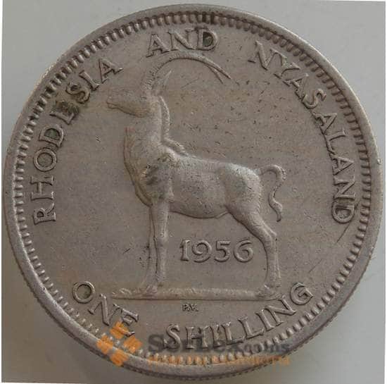 Родезия и Ньясаленд 1 шиллинг 1956 КМ5 XF арт. 14558