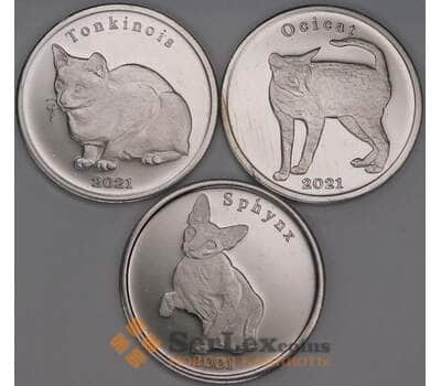 Строма острова набор 1 фунт *3 шт 2021 Кошки UNC арт. 52135
