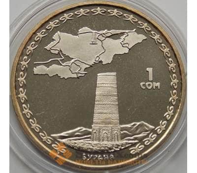 Монета Киргизия 1 сом 2008 Бурана арт. С00286