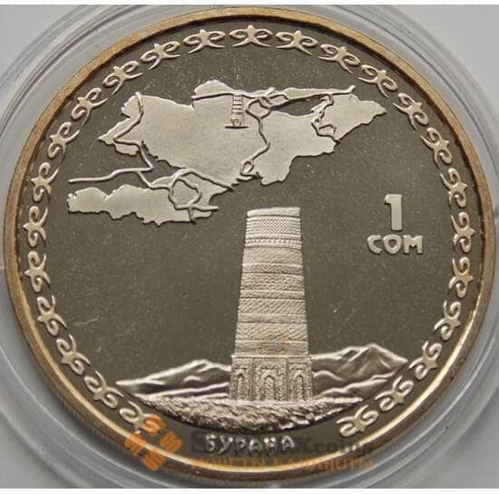 Киргизия 1 сом 2008 Бурана арт. С00286