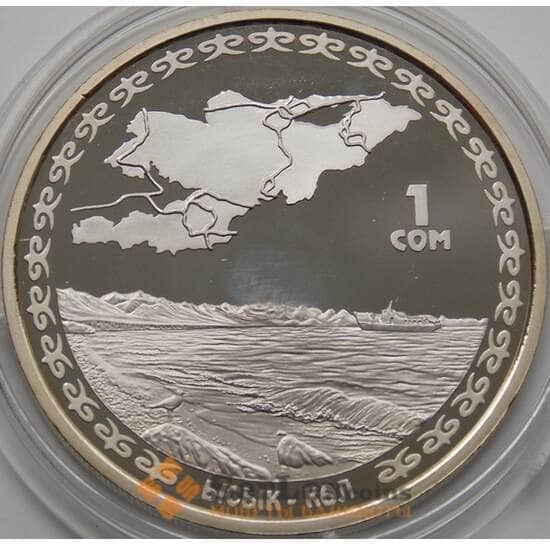 Киргизия 1 сом 2009  Иссы-куль арт. С00289