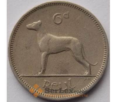 Монета Ирландия 6 пенсов 1961 КМ13a XF Собака (J05.19) арт. 15865