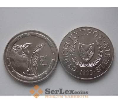 Монета Кипр 1 фунт 1995 50 лет ФАО КМ70 арт. С00195