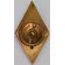 Знак Ромб тяжелый Технический институт СССР Самый ранний 1 тип арт. 37604