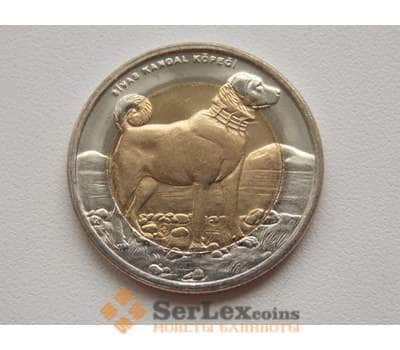 Монета Турция 1 лира 2010 Собака (Пес) UNC арт. С00458