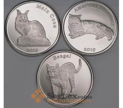 Строма острова набор 1 фунт *3 шт 2019 Кошки UNC арт. 52136