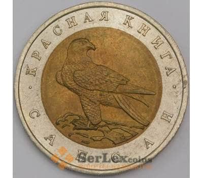 Россия монета 50 рублей 1994 Y370 AU Красная книга Сапсан  арт. 42211