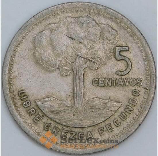 Гватемала 5 сентаво 1981 КМ276.3 XF арт. 57552