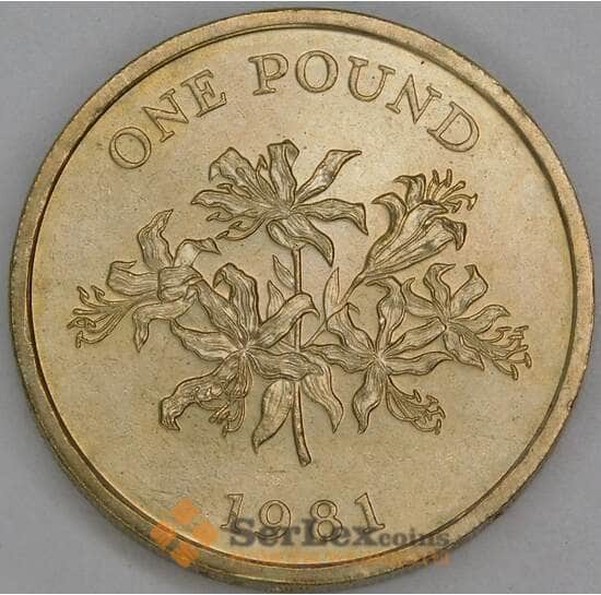 Гернси 1 фунт 1981 КМ37 UNC арт. 38102 Гернси 1 фунт 1981 КМ37 UNC арт. 38102