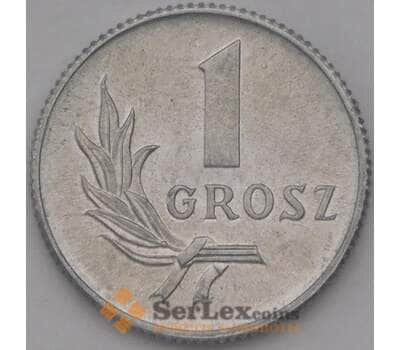 Монета Польша 1 грош 1949 Y39 арт. 36894