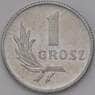 Польша 1 грош 1949 Y39 арт. 36894