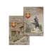 Альбом-планшет блистерный "Монеты Приднестровья" в двух томах пр-во Сомс арт. 28657