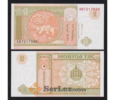 Монголия 1 тугрик 1993 Р52 UNC арт. 54614