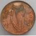 Монета Ирландия 2 пенса 1980 КМ21 aUNC арт. 16583