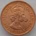 Монета Восточно-Карибские острова 1 цент 1963 КМ2 UNC (J05.19) арт. 15714