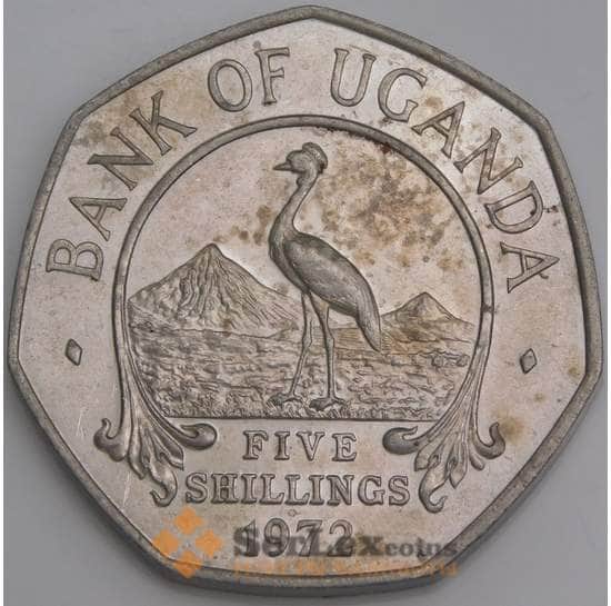 Уганда монета  5 шиллингов 1972 КМ18 АU арт. 45858