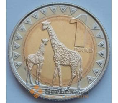 Монета Южный Судан 1 фунт 2015 UNC арт. С03078