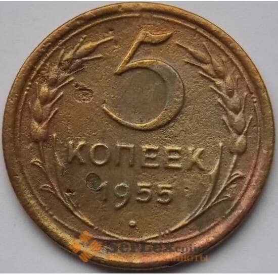 СССР 5 копеек 1955 Y115 VG арт. С04026