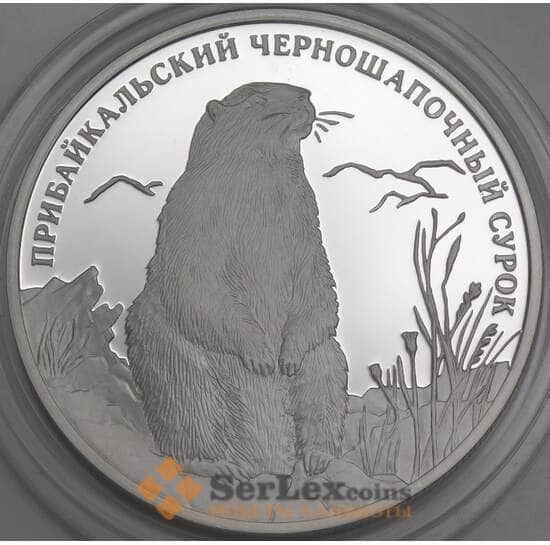 Россия 1 рубль 2008 Proof Красная книга Прибайкальский Сурок арт. 47853 Россия 1 рубль 2008 Proof Красная книга Прибайкальский Сурок арт. 47853