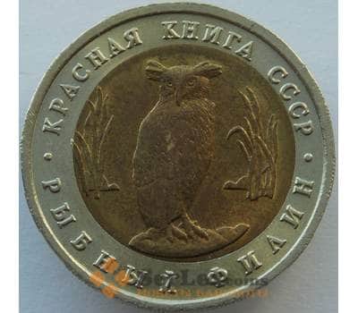 Монета Россия 5 рублей 1991 Y280 Красная книга Рыбный Филин AU арт. С04182
