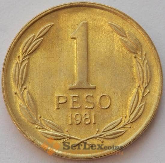 Чили 1 песо 1981 КМ216 UNC (J05.19) арт. 17034
