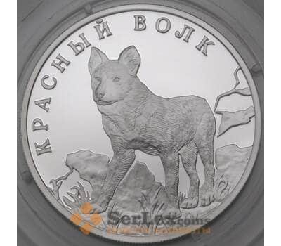 Монета Россия 1 рубль 2005 Proof Красная книга - Красный волк микроцарапки арт. 29702