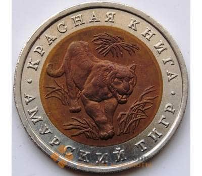 Монета Россия 10 рублей 1992  Красная книга Амурский Тигр AU арт. 4183