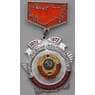 Значок накладной пятидесятилетие союза ССР 1922-1972 арт. 37459