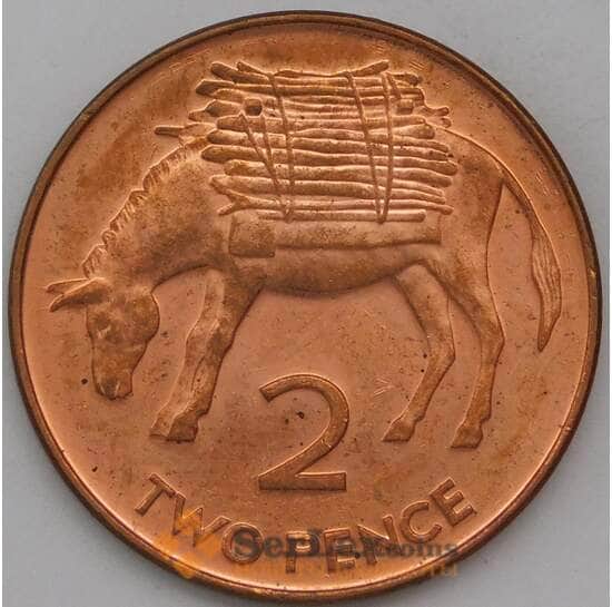 Святая Елена и Вознесения 2 пенса 1998 КМ12а aUNC арт. 28444